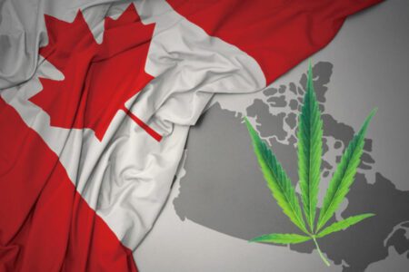 【熱門時事】加拿大公司將大麻產業建構於區塊鏈的供應鏈平台