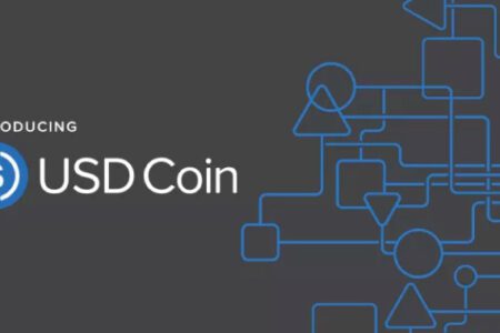 USD Coin 成為首個在一年內發行 10 億美元的穩定幣
