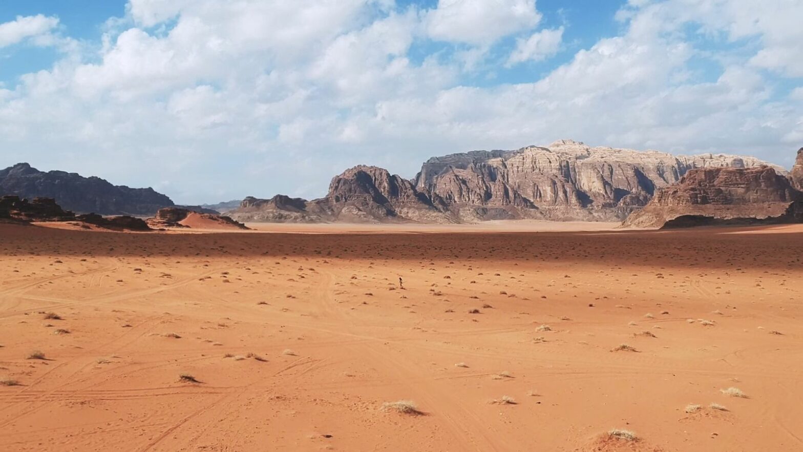 Github數據顯示，32%的項目2019年沒有提交過任何代碼