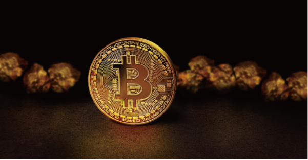 比特幣回落 7,800 美元支撐, Altcoin 持續上漲