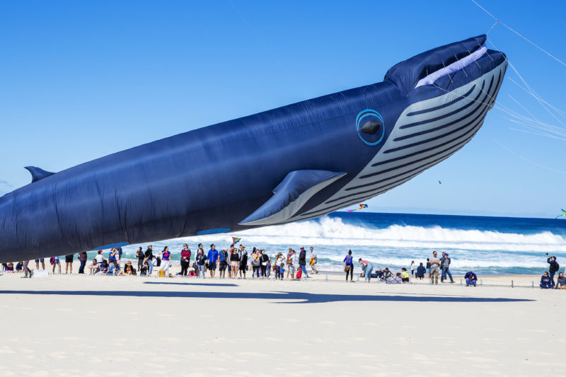 一小時內轉移89億美元的比特幣，打破比特幣網路的歷史紀錄