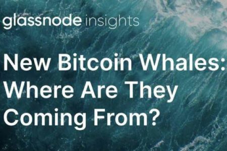 比特幣巨鯨四年來首次增長，但平均財富卻爲何略有下降？