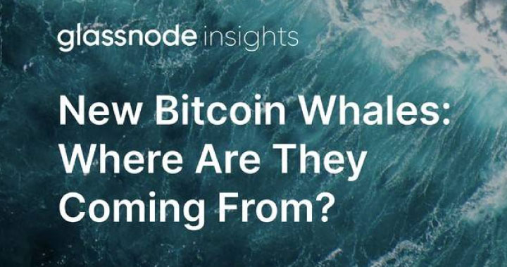 比特幣巨鯨四年來首次增長，但平均財富卻爲何略有下降？