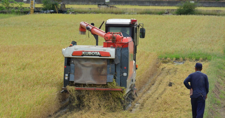 美股大跌、比特幣陪葬,流動性挖礦幣種提早鬼門關