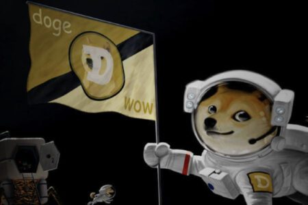 FOMO 再起！成人女星推特自曝持有超過六年，狗狗幣一度飆漲近三倍