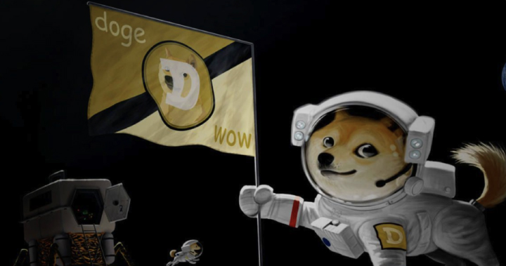 FOMO 再起!成人女星推特自曝持有超過六年,狗狗幣一度飆漲近三倍