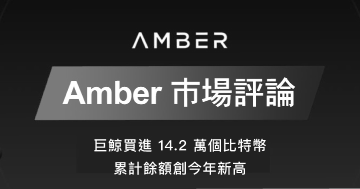 Amber 市場評論|巨鯨買進14.2萬個比特幣 累計餘額創今年新高
