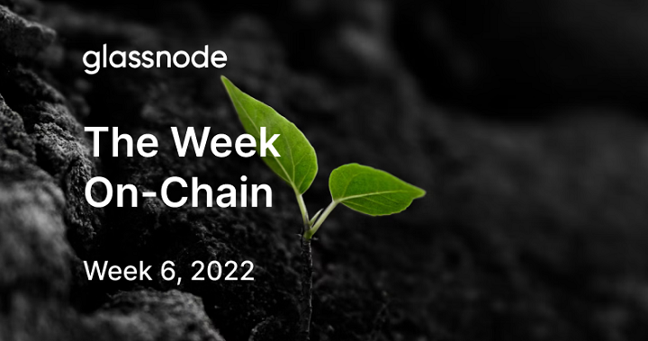 glassnode 週報分析：比特幣價格是否已到達底部？