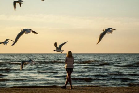 Dragonfly Capital 合夥人：關於投資我也曾錯過，但它讓我收穫良多