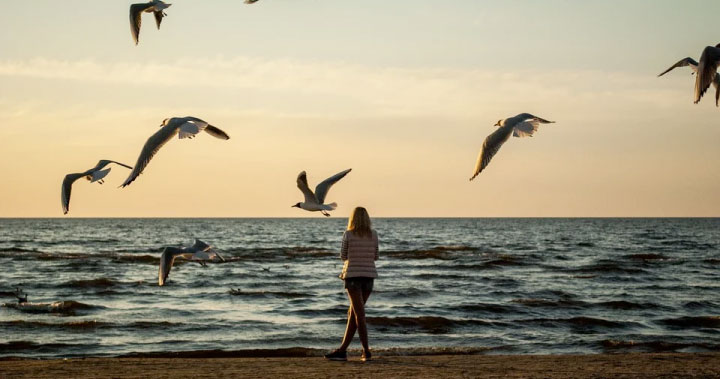 Dragonfly Capital 合夥人:關於投資我也曾錯過,但它讓我收穫良多