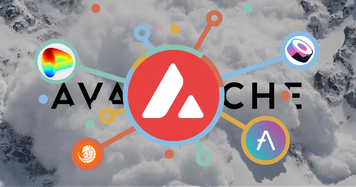 Avalanche 利多不斷成為百倍幣成員,讓桑幣幫你更新火熱近況