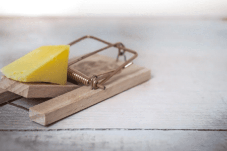 看似躺賺的 NFT 套利機會其實暗藏陷阱！貪念與自負小心讓自己成為冤大頭