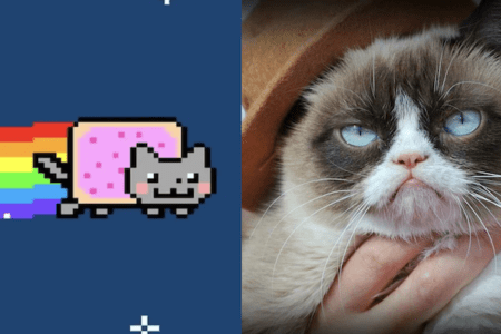迷因幣侵權行為猖狂！Grumpy Cat 與 Nyan Cat 創作者透過 NFT 發送「鏈上律師函」