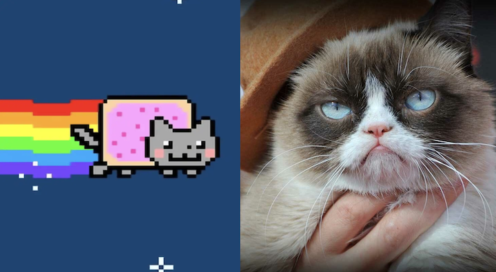 迷因幣侵權行為猖狂！Grumpy Cat 與 Nyan Cat 創作者透過 NFT 發送「鏈上律師函」