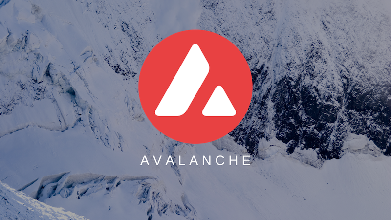 Avalanche 停機兩小時!創辦人澄清:與銘文無關,純粹是程式碼相關錯誤