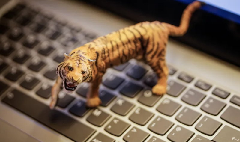 Tiger Global 130 億鎂風投基金帳面虧損 18%:下調 Yuga Labs 估值 69%、OpenSea 估值大砍 94%