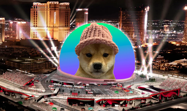 達成籌款目標！迷因幣 Dogwifhat 將登上拉斯維加斯球形地標 Sphere
