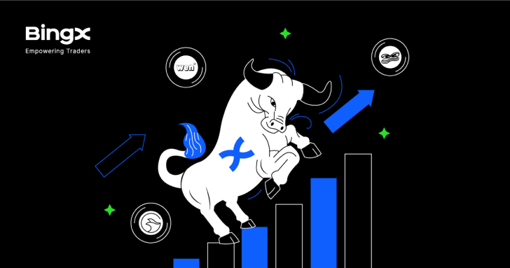 BingX 亮眼表現引漲牛市，推進全球佈局