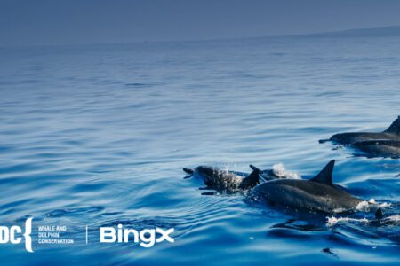 BingX 與鯨豚保育協會合作反圈禁取得重大進展
