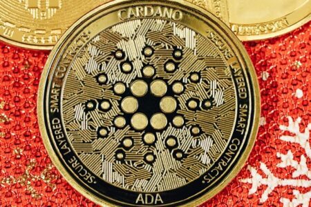 NYSE Arca 代表灰度提交 Cardano ETF 的 19b-4 文件