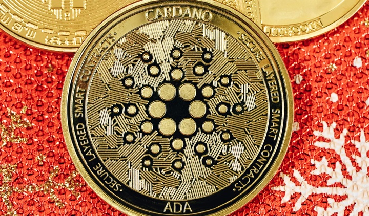 美 SEC 受理灰度 Cardano 現貨 ETF 申請