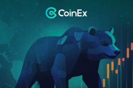 投資者該如何應對熊市帶來的恐懼與不確定性