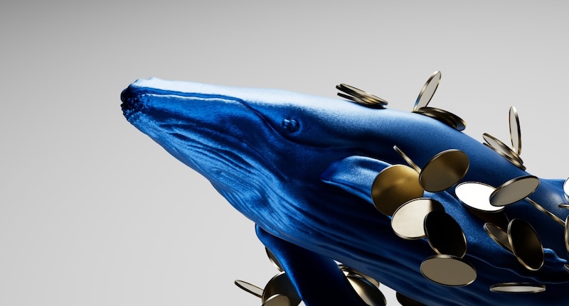 100% 勝率巨鯨還在扛！浮虧 2,000 萬美金，過去 24 小時加碼做多 HYPE