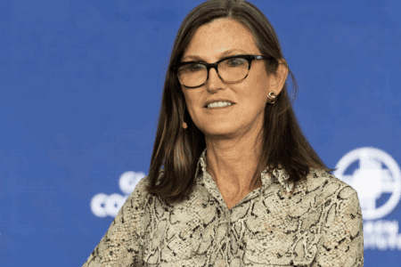 期中選舉將近，Cathie Wood：美國政府可能開始購買比特幣、納入國家儲備